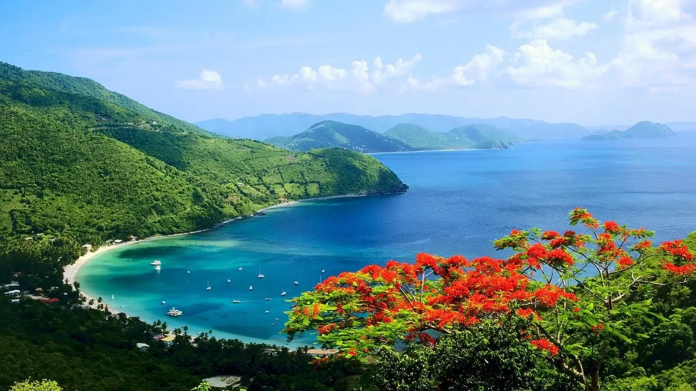全自动节能高标准
